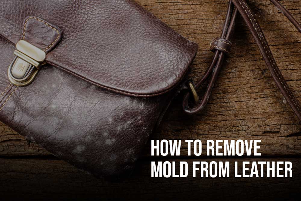 How To Remove Mold From Leather